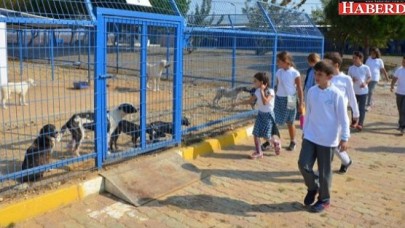 Silivride 4 Ekim etkinliği