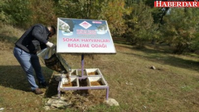 Çatalca belediyesi onlara sahip çıkıyor