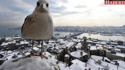 Bu yıl kış nasıl geçecek!İşte cevabı