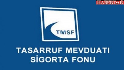 527 şirket TMSFye devredildi
