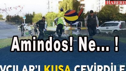 Amindos bir kuşsa Avcılar da bir köy!