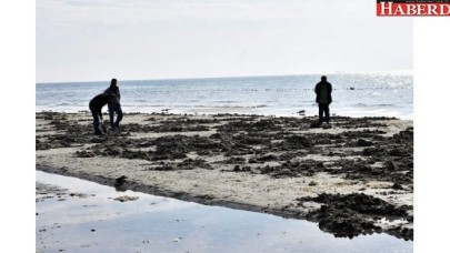 Tekirdağda korkutan görüntü: Deniz 15 metre çekildi