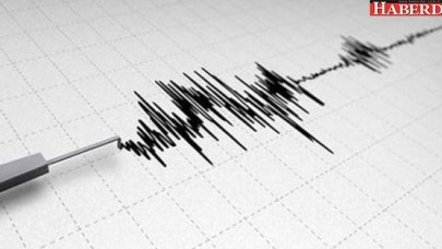 Vanda panik yaratan deprem