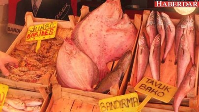 Marmarada fırtına sonrası balık bereketi...
