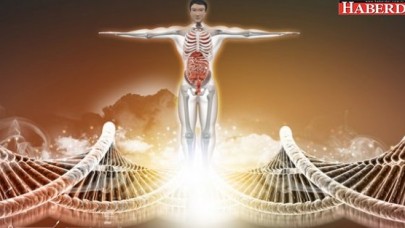 İnsan vücudunda yeni bir organ keşfedildi