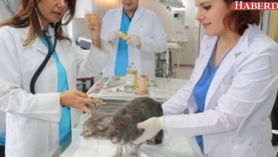 Avcılarda her canlı değerli