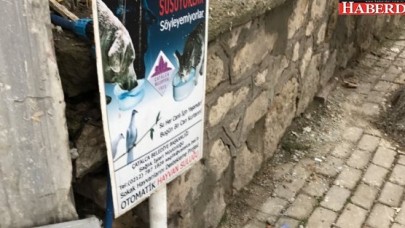 Onlar susuyorlar, söyleyemiyorlar