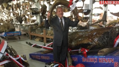 YENİ MUMYALAR MÜZEDE