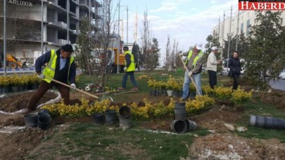 Büyükçekmece her bahar daha da güzel