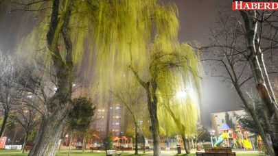 PARKLARA LED AYDINLATMA SİSTEMİ GELİYOR