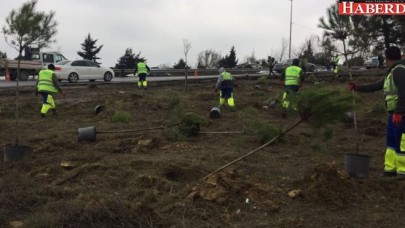 Ağaçlandırma çalışması hız kesmiyor