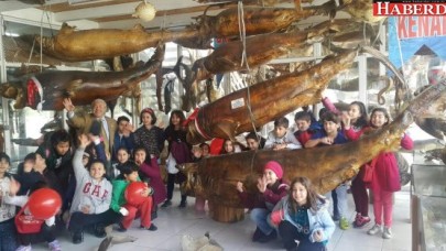 Öğrencilerin Gözdesi Mumyalar