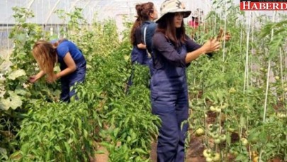 Genç çiftçilere 30 bin TL’ye kadar hibe