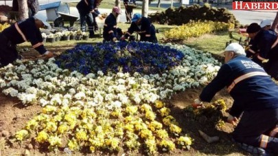 AVCILAR’IN PARKLARINDA ÇİÇEKLER AÇAR