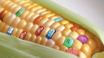 GDO düşük yaptırdı