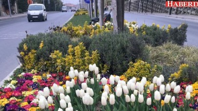 Bahar mevsimi en çok Büyükçekmece’ye yakışıyor