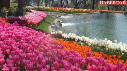 İstanbulda lale zamanı