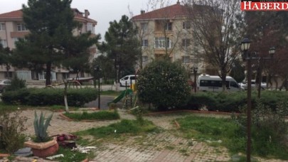 Parklar yaza hazırlanıyor