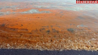 Marmara Denizi turuncuya büründü