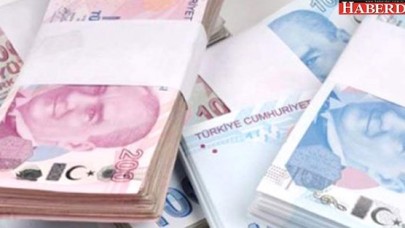 Maliye Bakanlığı Vergi ve Trafik Cezalarına İndirim Yapacak