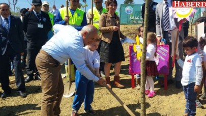 13 şehidin anısına 13 çınar ağacı