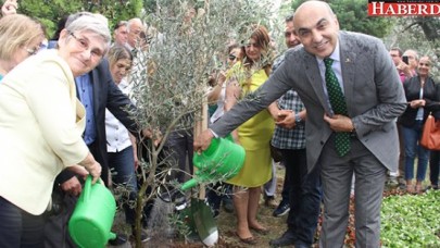 Başkan Kerimoğlu Canan Karatay ile beraber zeytin dikti