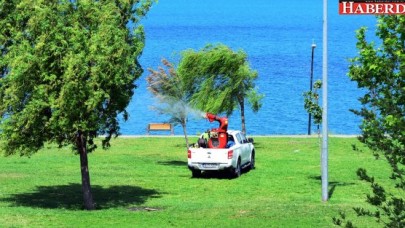 BU YAZ SİVRİSİNEKSİZ GEÇECEK