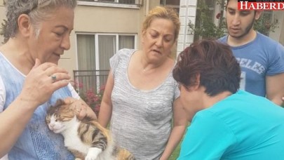 MİNİK DOSTLAR EMİN ELLERDE