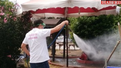 Çatalca Belediyesi İlaçlama Ekibi iş başında