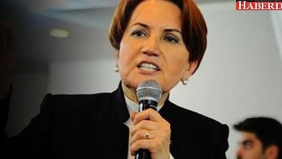 Meral Akşenerin partisinin kuruluş tarihi belli oldu