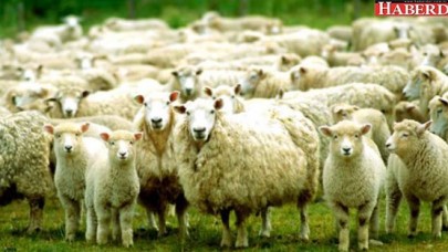 Kurban Bayramında kaç gün tatil?