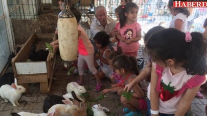 BURASI ŞEFKAT YUVASI!