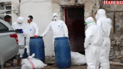 Karsta Kuş Gribi Paniği! Yüzlerce Kaz Gizemli Bir Şekilde Ölüyor