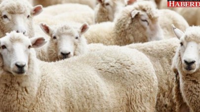 2017 Kurban Bayramı ne zaman? Kurban Bayramı tatili kaç gün?