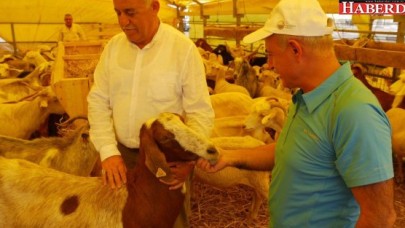 Akgün: Kurban Bayramı için tüm tedbirlerimizi aldık