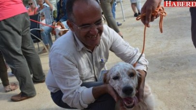 Fermalı Av Köpekleri Irk Yarışması yapıldı