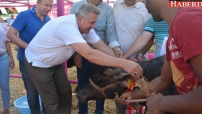 “Malak Güzeli” seçildi