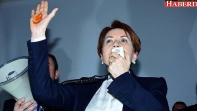 İşte Meral Akşenerin partisinin yeni logosu