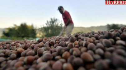 Fındık için Adalet Yürüyüşü başlıyor