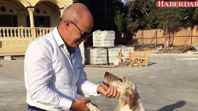 Akgün: Bakamayacaksanız sahiplenmeyin!