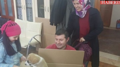 Onlar sokaklarda yalnız değiller