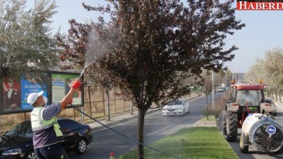 Büyükçekmece’nin yeşil alanları sonbahara hazırlanıyor