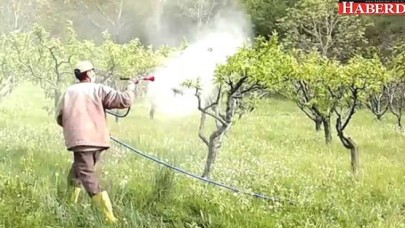 Tarlaya Sıkılan Böcek İlacı 20 Can Aldı