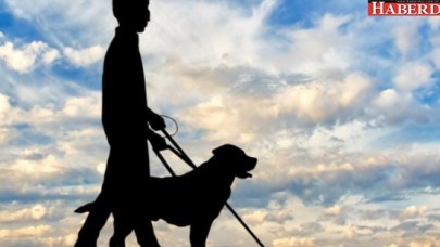 Görme Engelliler Neden Kansere Yakalanmıyor?