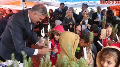 Küçükçekmeceye İğde Ağaçları Dikildi