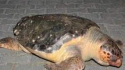 İzmir'e korku saldı