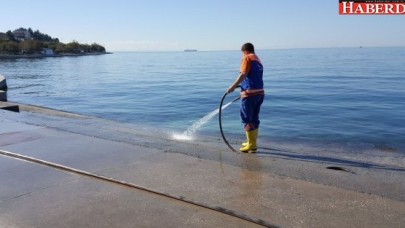 Büyükçekmecede lodosun izleri silindi