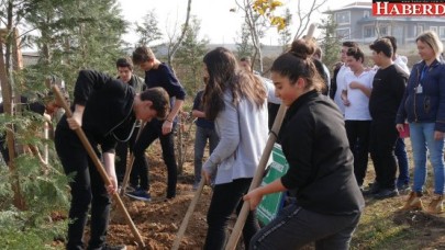 Büyükçekmece’de yüzlerce ağaç daha toprakla buluştu