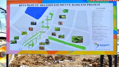 Beylikdüzünde Dev Meyve Ormanı