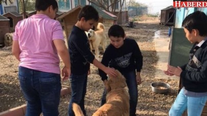 Büyükçekmeceli öğrenciler barınağa hayran kaldı